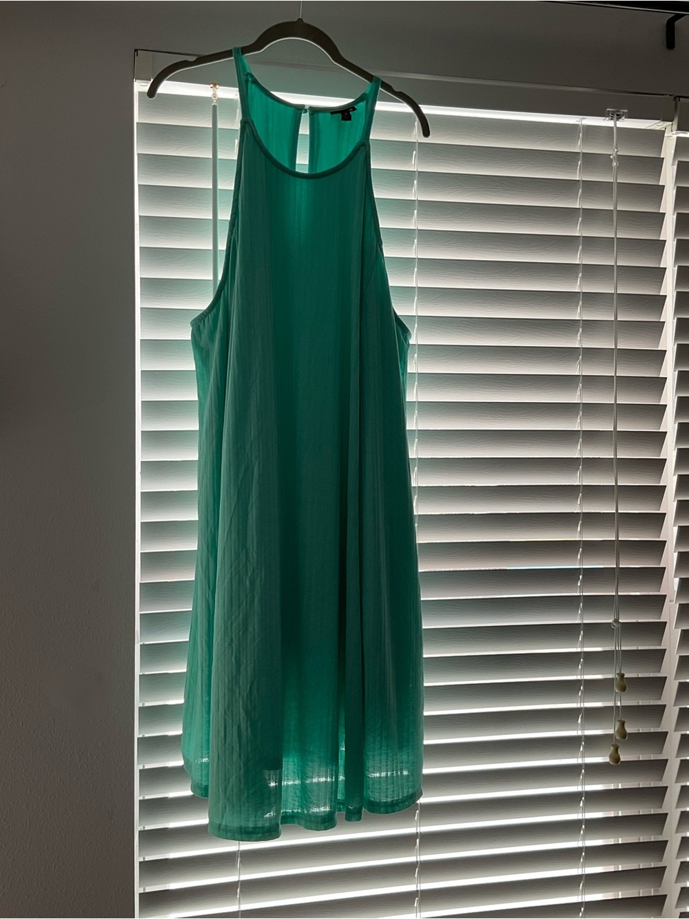 torrid Mint Green Sleeveless Maxi Swing Dress